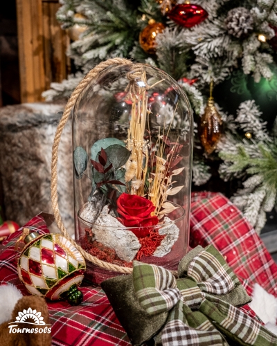 Roses sous cloche avec décor de Noël.